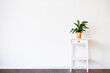 Modern clean interior stand white wall place text