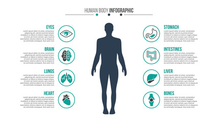 vector medical and healthcare infographic.