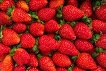 Wall Mural - Fresh ripe of red straberries berries background