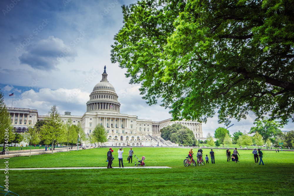Washington DC - Capitol - obrazy, fototapety, plakaty 