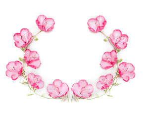 Wall Mural - Floral wreath with pink flowers on white background, top view