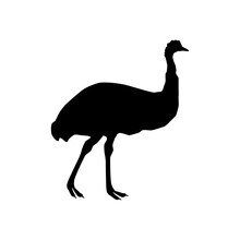 Ostrich Emu Silhouette