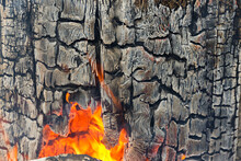 Fragment Of The Burned Log In The Fire. At The Bottom There Is A Hole With Fire Inside. Texture. Background.