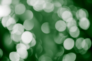 Bokeh background green