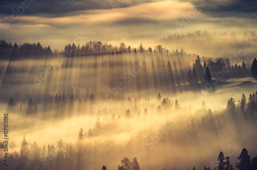 Obrazy Polska misty-mountain-forest-landscape-in-the-morning-poland