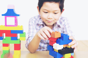 Wall Mural - A boy playing pieces plastic creative construction blocks