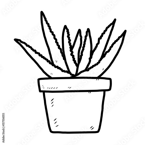 Featured image of post Cartoon Pot Plant Drawing House plant shelf with multiple shelves filled by potted plants