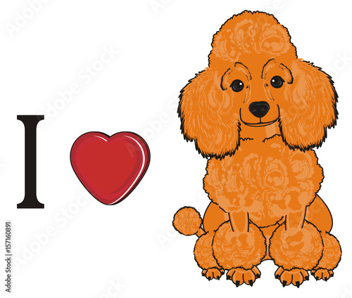 Poodle Dog Puppy Cartoon Friend Pet Animal Hair Nose