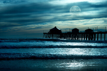 Wall Mural - moonlight on the beach