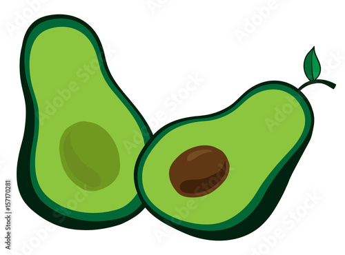 Whole Avocado Cut In Half With Skin Pulp And Seed Inside Green Avocado Vector Illustration Doodle Cartoon Drawing Stock Vector Adobe Stock