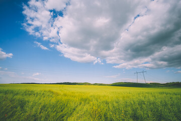 Wall Mural - pylon on the field