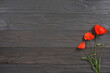 red poppy flowers on dark wood background. top view with copy space