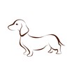 Brown dachshund drawing silhouette