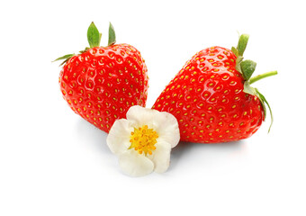 Canvas Print - Ripe strawberries and flower on white background