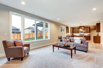 Light filled living room furnished with grey linen sofa