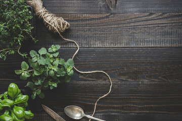 Wall Mural - Fresh herbs on the dark wooden table, top view. Rustic background with copy space