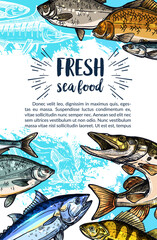 Wall Mural - Seafood and freshwater fish sketch banner