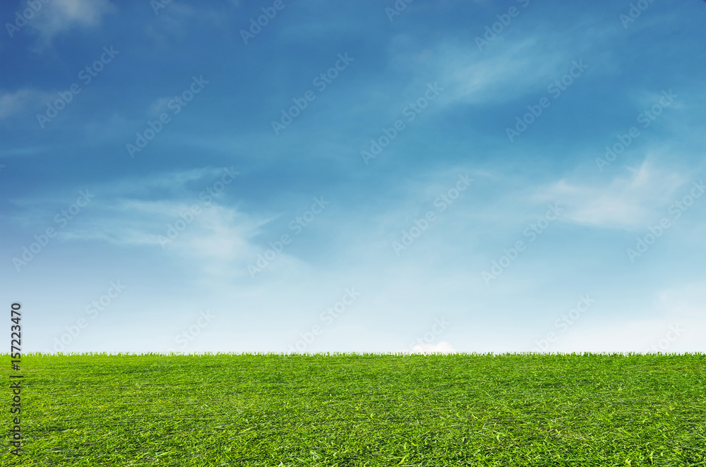 Green grass field with blue sky and white clouds background Stock Photo ...