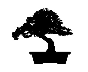 Bonsai tree mini potted plant flat vector icon for apps and websites