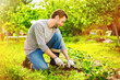 Happy gardener is planting vegetables at spring sunny garden background.