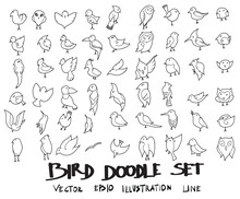 Doodle Sketch Bird Icons Illustration Vector