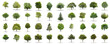 Leinwandbild Motiv High definition collection Tree isolated on a white background
