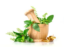 Sweet Basil And Hot Basil In Wooden Mortar With Essential Oil And Supplement, Alternative Herbal Medicine Concept