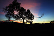 © kannika2012 - Beautiful sunrise landscape.