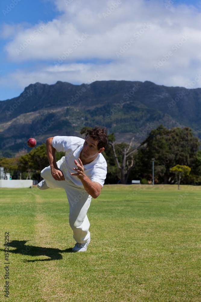 Player diving to catch ball on field against sky Stock Photo | Adobe Stock