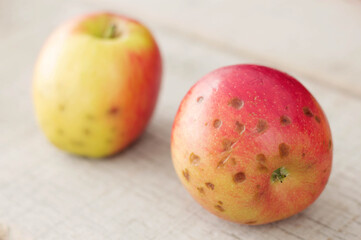 Apple on wooden floor.