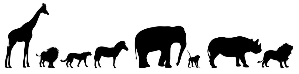 Sticker - Vector silhouette of wild animal on white bakground.