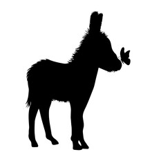 Vector Silhouette Of Donkey With Butterfly On White Background.