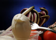 © Comugnero Silvana - Italská kuchyně Italienische Küche イタリア料理 Italian cuisine Cucina italiana Итальянская кухня Kuchnia włoska Gastronomía de Italia مطبخ إيطالي Mozzarella 義大利飲食 이탈리아 요리 Italiaanse keuken המטבח האיטלקי