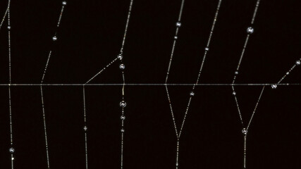 Web with raindrops background texture