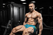 © romanolebedev - Handsome man with big muscles, posing at the camera in the gym