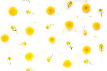 Frame Made Of Yellow Flowers. Dandelion Flowers On White Background. Top View, Flat Lay, Mock Up