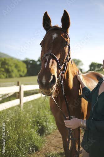 Plakat Blondynki kobieta z koniem w Wiejskim Virginia