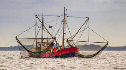 Dutch Shrimp fishing cutter vessel