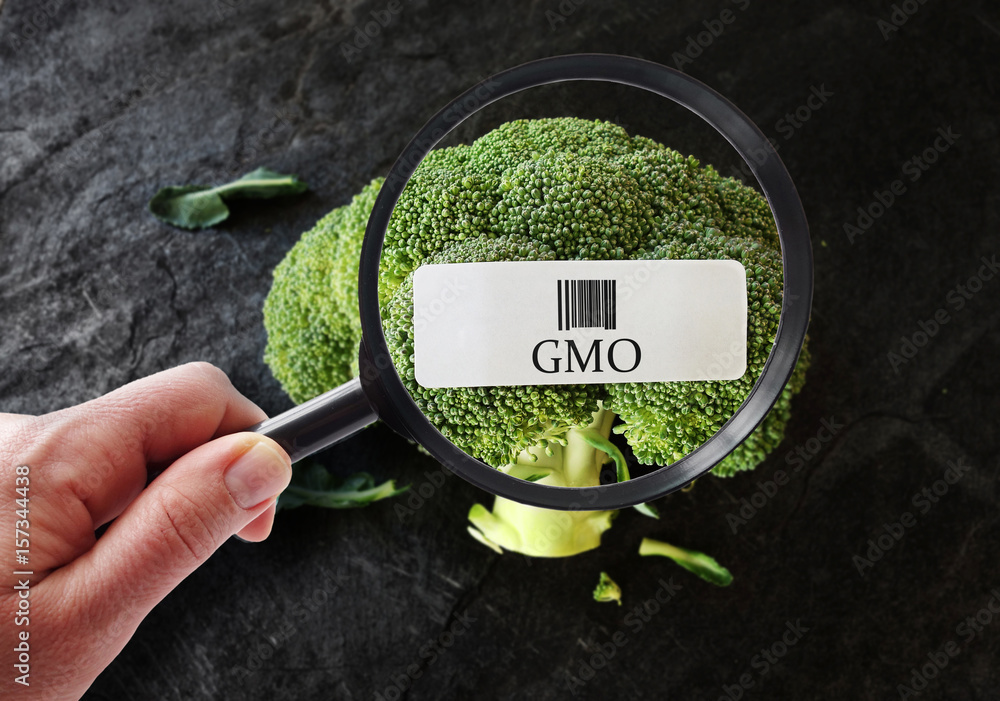 GMO food label - obrazy, fototapety, plakaty 