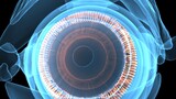 3d illustration of the human eye anatomy