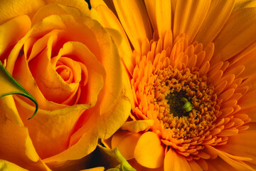 Fine art bright still life floral yellow orange detailed color macro portrait of a rose and a gerbera as part of a bouquet with detailed texture and intense colors, optimistic and warm color tone 