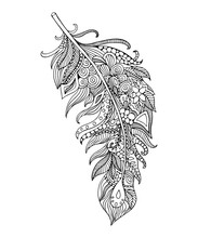 Feather Coloring Page For Kids Free Stock Photo - Public Domain Pictures