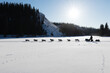 Dog sled racing in Yukon Quest
