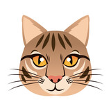 Fototapeta Koty - cute head cat, feline striped character. vector illustration.