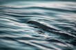water texture background close up max depth of field