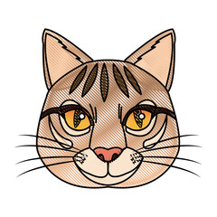 Canvas Print - head feline wildlife stripes animal icon vector illustration