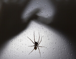fear