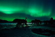 Yukon sled dog team pulling under northern lights