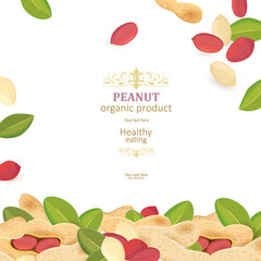 Wall Mural - banner with delicious peanuts on white background for your desig