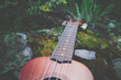© alicefoxartbox - Ukulele guitar at the mountain nature pine forest landscape. Photo depicts musical instrument Ukulele small guitar in outdoor natural green background. Strings close up. Macro view.